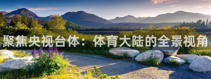nba直播搜球吧：聚焦央视台体：体育大陆的全景视角