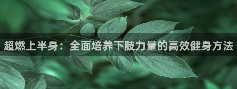 搜球吧8直播免费观看：超燃上半身：全面培养下肢力量的高效健身方法