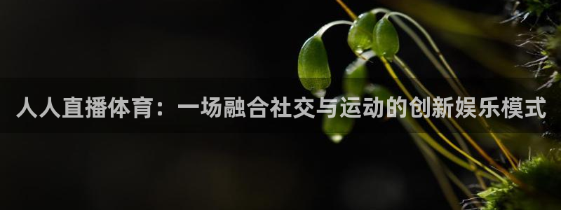 搜球体育下载：人人直播体育：一场融合社交与运动的创新娱乐模式