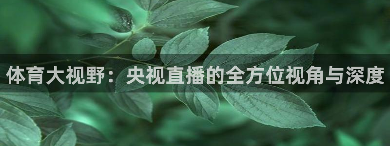 搜球吧直播nba直播：体育大视野：央视直播的全方位视角与深度