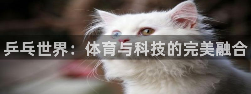 搜球吧在线直播nba：乒乓世界：体育与科技的完美融合