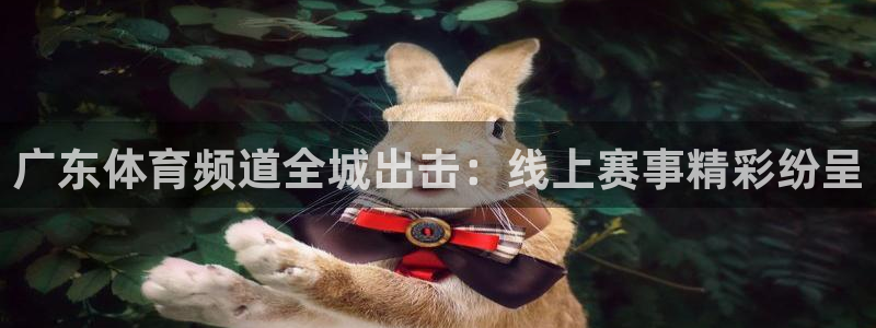 搜球吧nba视频直播：广东体育频道全城出击：线上赛事精彩纷呈