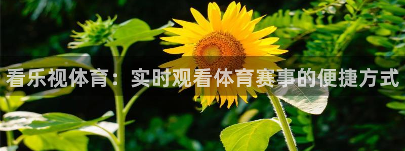 搜球吧零点吧nba直播：看乐视体育：实时观看体育赛事的便捷方式